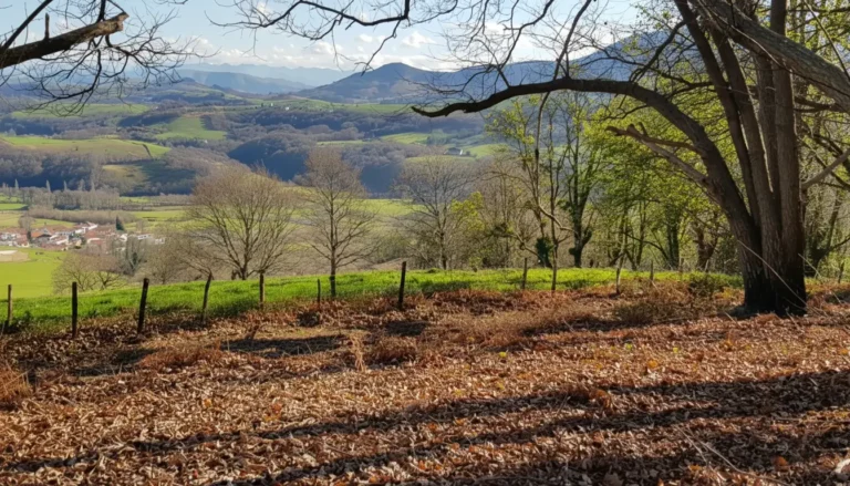 Randonnée Espelette : Balades Gourmandes et Sommets Basques